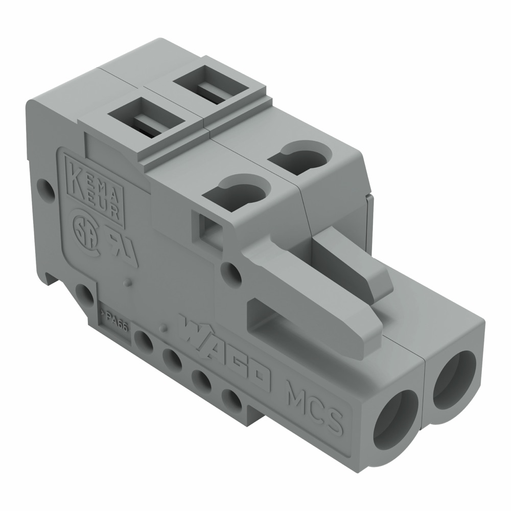 WAGO 231-102/102-000 1 vezetékes anyacsatlakozó szürke