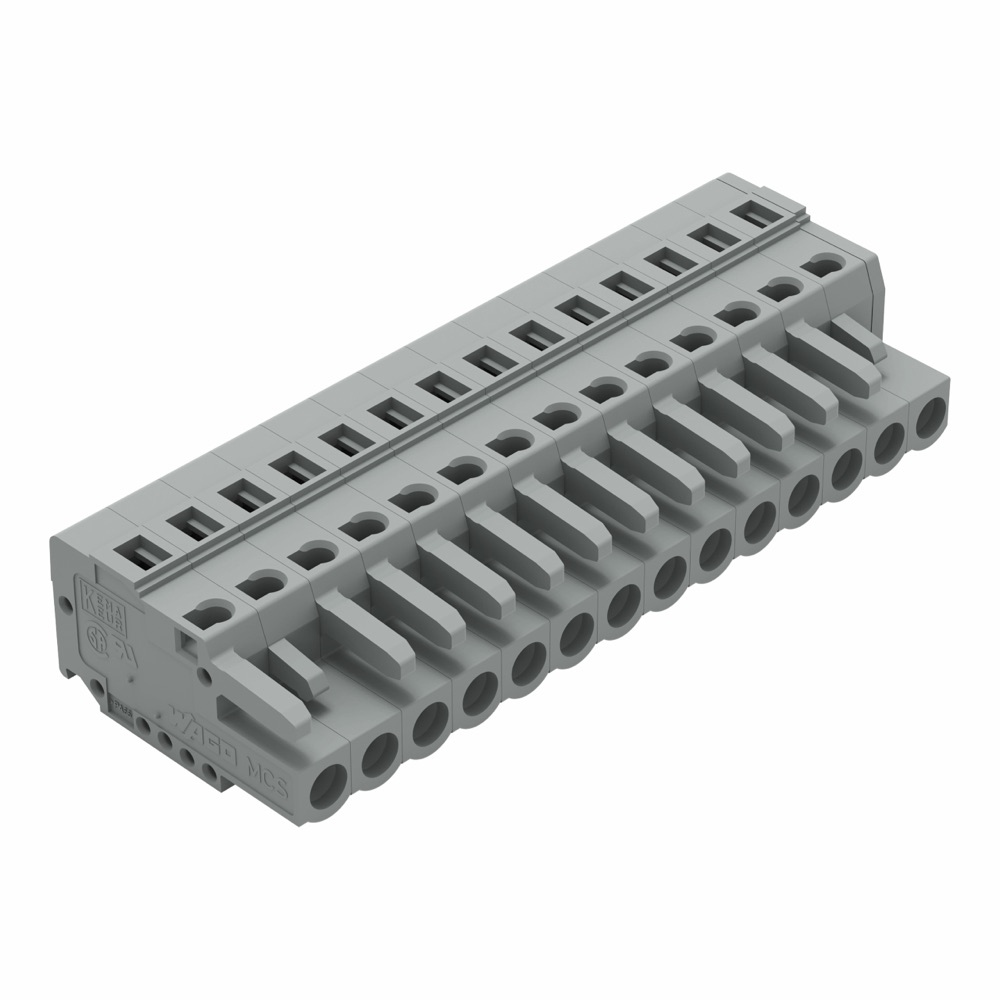 WAGO 231-114/026-000 1 vezetékes anyacsatlakozó szürke termékfotó